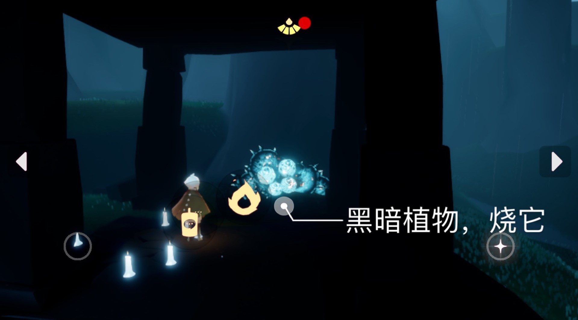 光遇5月11日每日任務(wù)怎么做?光遇5月11日每日任務(wù)完成攻略截圖