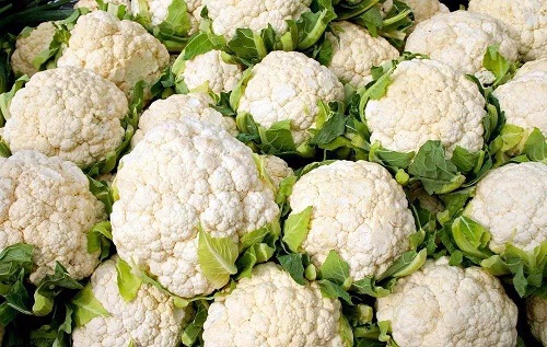 人们平时吃的花椰菜,主要食用的是它的哪个部分?支付宝蚂蚁庄园6月22日答案