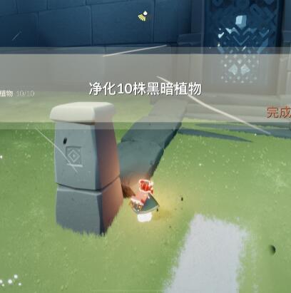 光遇7月20日每日任務怎么完成?光遇7月20日每日任務完成攻略截圖