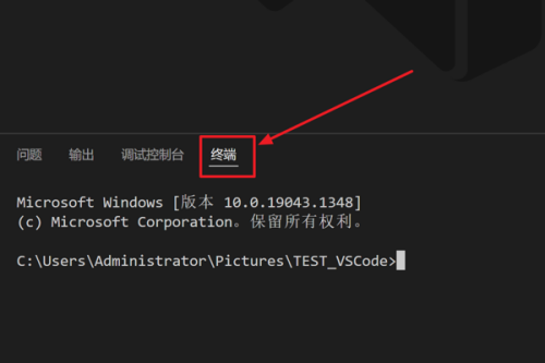 Vscode怎么新建终端?Vscode新建终端教程截图