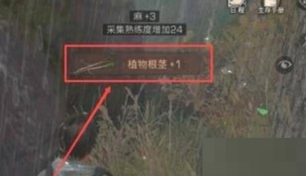 明日之后植物根茎怎么获得?明日之后植物根茎获得攻略