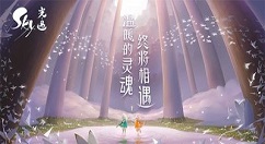 光遇8月4日每日任务怎么完成?光遇8月4日每日任务完成攻略