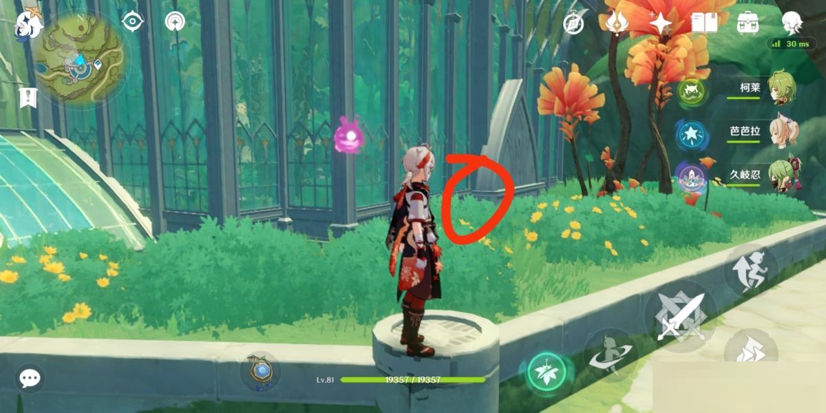 原神须弥怎么砍树?原神须弥砍树攻略