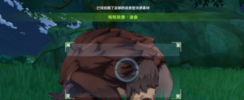 原神耗耗驮兽进食任务怎么完成？原神耗耗驮兽进食任务完成攻略