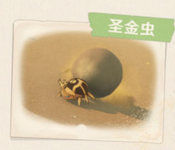 原神須彌沙漠有哪些生物及特產?原神須彌沙漠生物及特產一覽截圖