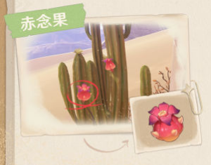原神須彌沙漠有哪些生物及特產?原神須彌沙漠生物及特產一覽截圖