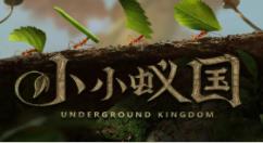 小小蚁国蚂蚁强度怎么排名?小小蚁国蚂蚁强度排名介绍