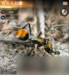 小小蚁国特化蚁属性怎么样？小小蚁国特化蚁属性介绍