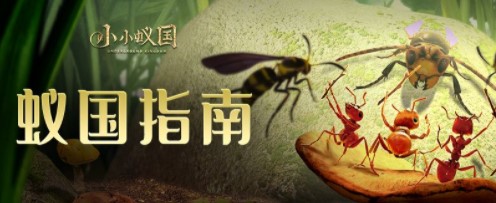 小小蚁国新手开局怎么发展？小小蚁国新手开局发展攻略