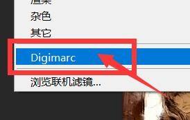 Photoshop怎么读取水印?Photoshop读取水印教程截图