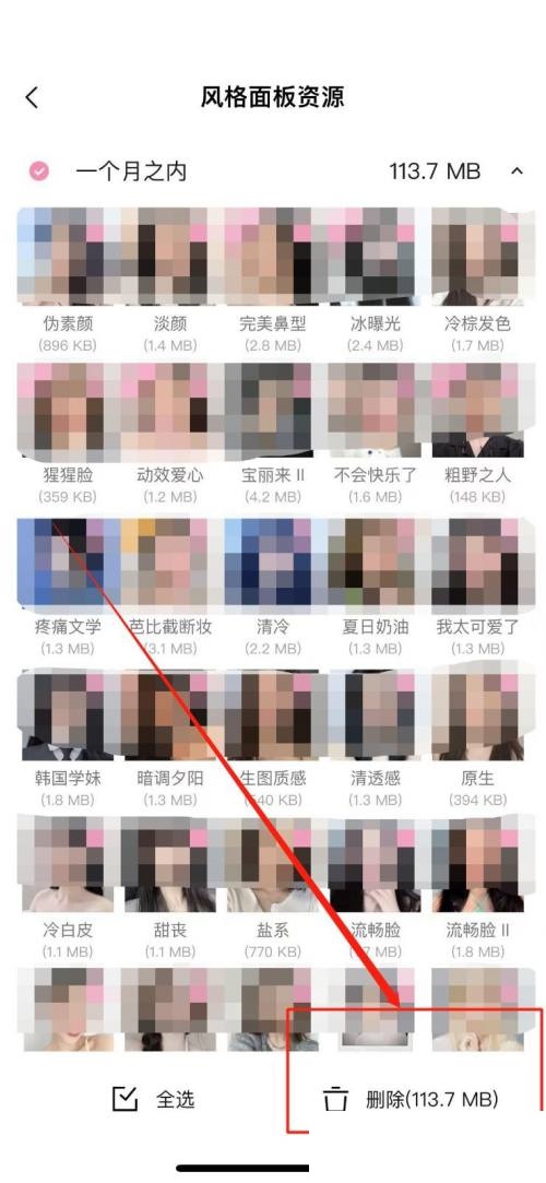 轻颜相机怎么清理风格面板资源?轻颜相机清理风格面板资源方法