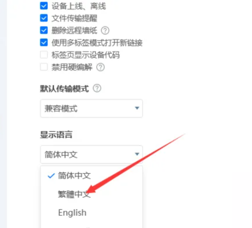 ToDesk怎么设置繁体中文？ToDesk设置繁体中文方法截图