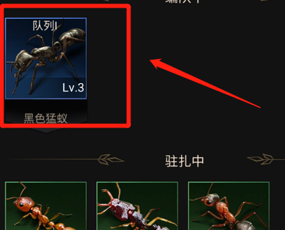 小小蚁国如何查看不同特化蚁擅长领域？小小蚁国查看不同特化蚁擅长领域的方法