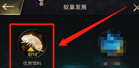 小小蟻國如何提高蟻巢中肉的產量？小小蟻國提高蟻巢中肉產量的方法截圖