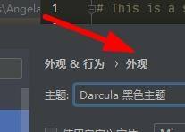 PyCharm怎么设置编译器外观?PyCharm设置编译器外观的方法