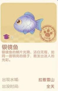 摩尔庄园电脑版银镜鱼在哪?摩尔庄园电脑版银镜鱼位置介绍