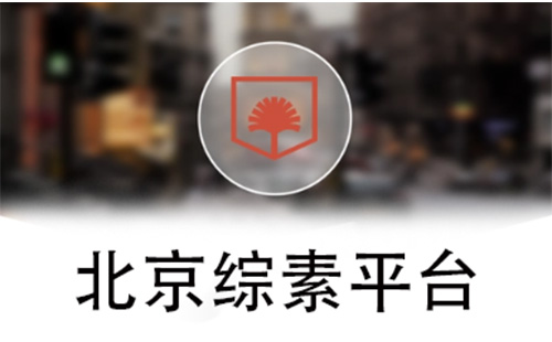 北京综素平台
