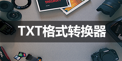 TXT格式转换器
