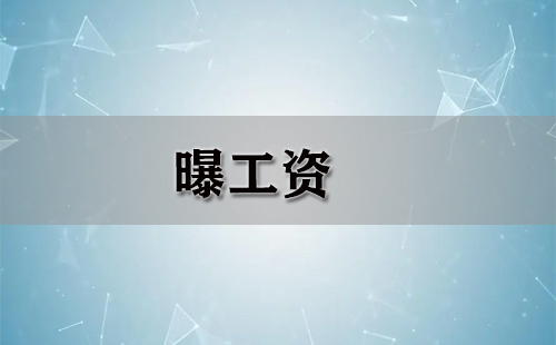 曝工资