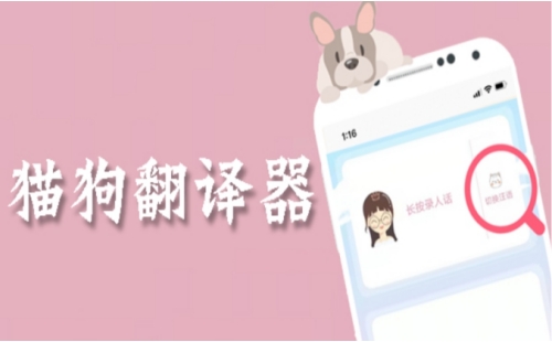 猫狗翻译器