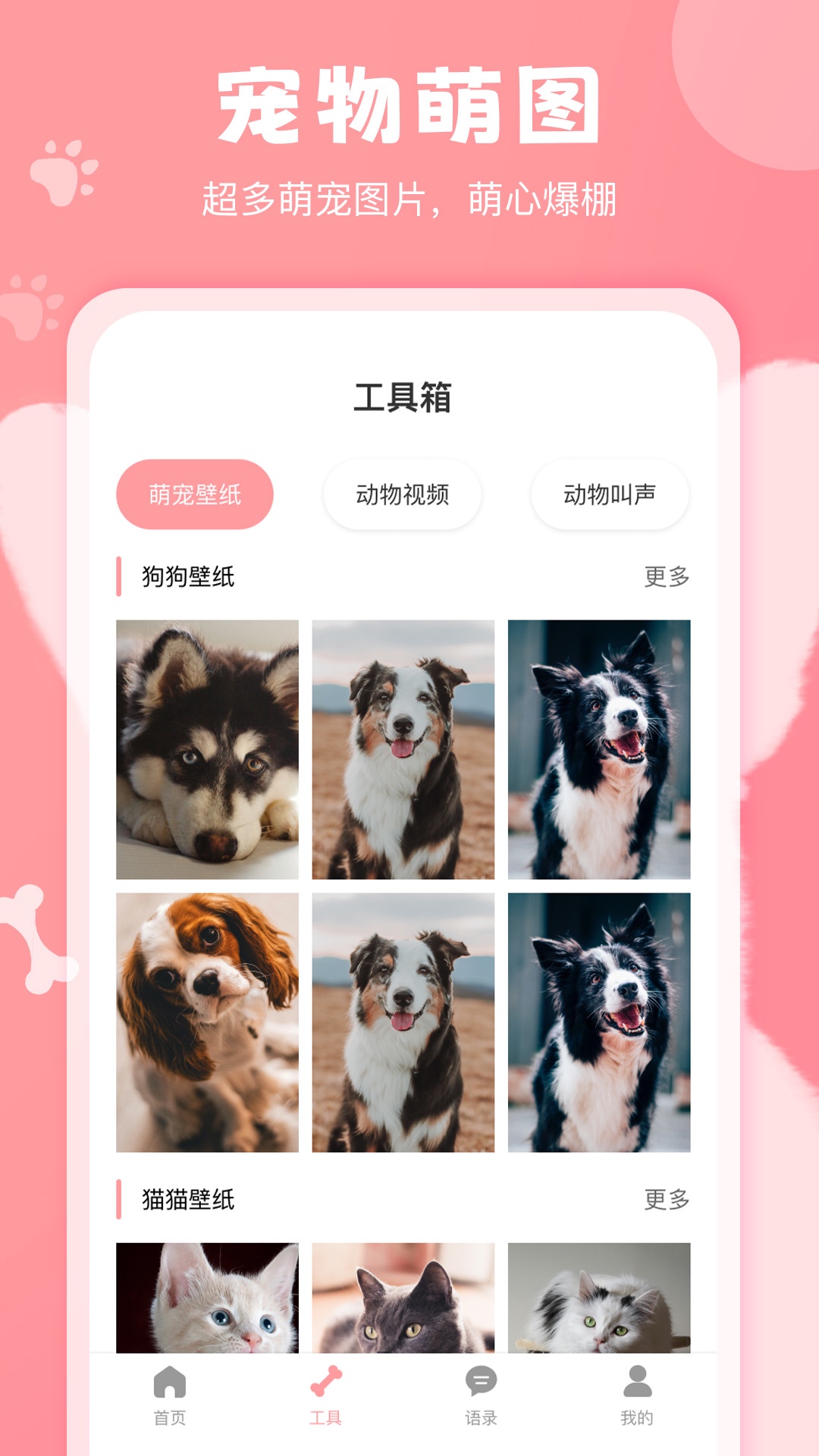 狗语翻译器截图