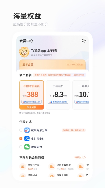 飞猫盘截图
