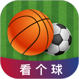 看个球电脑版