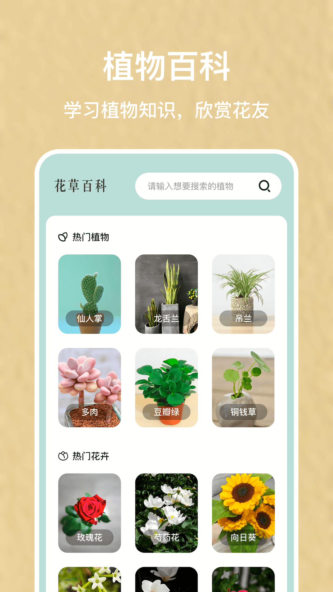 植物识别神器 软件图片