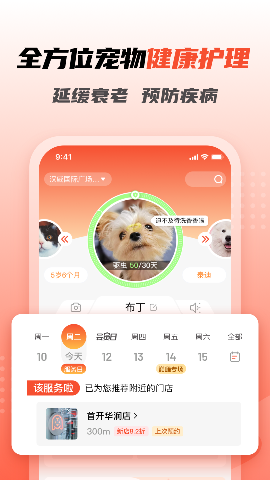 宠物家截图