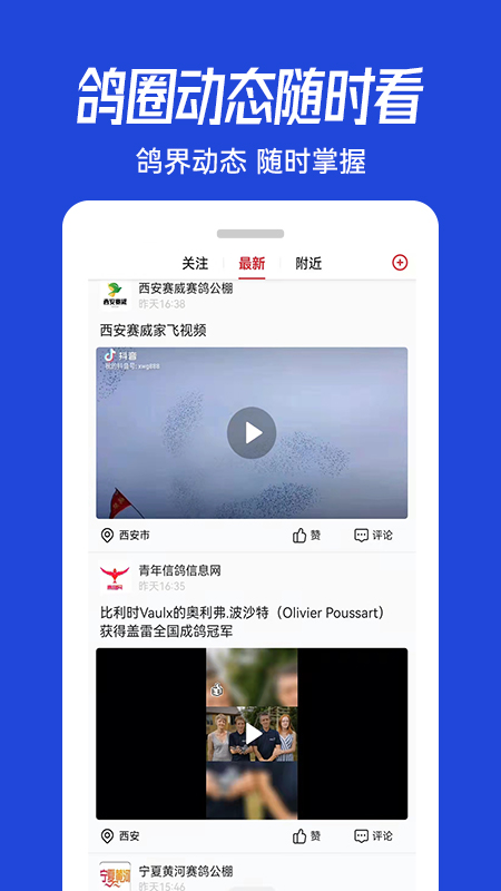 青鸽网截图