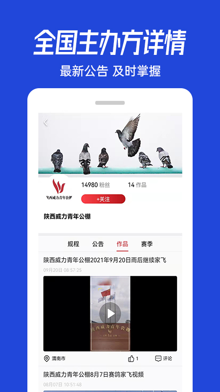 青鸽网截图