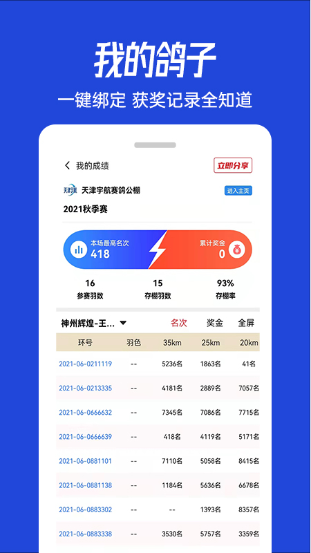 青鸽网截图