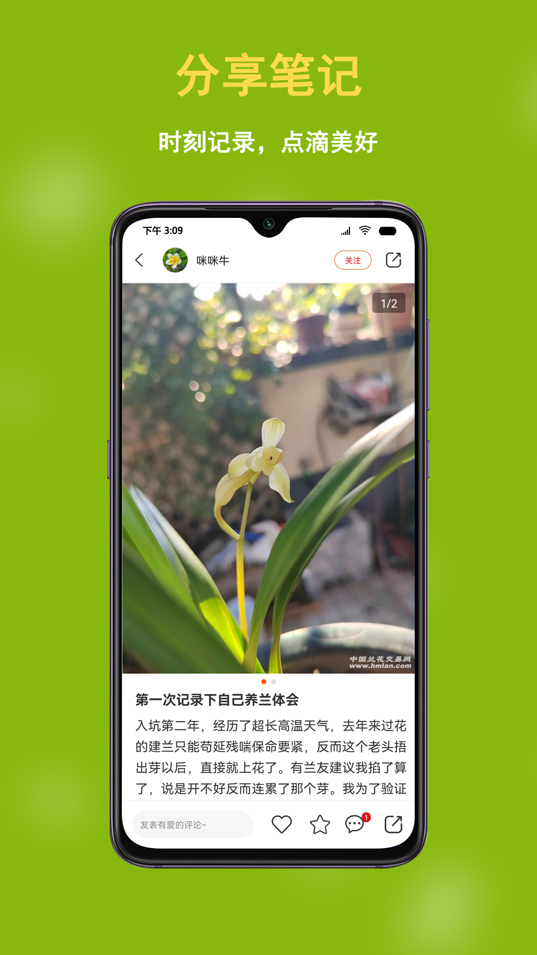 兰花交易网截图