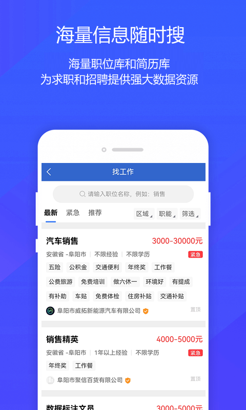 阜阳人才网截图