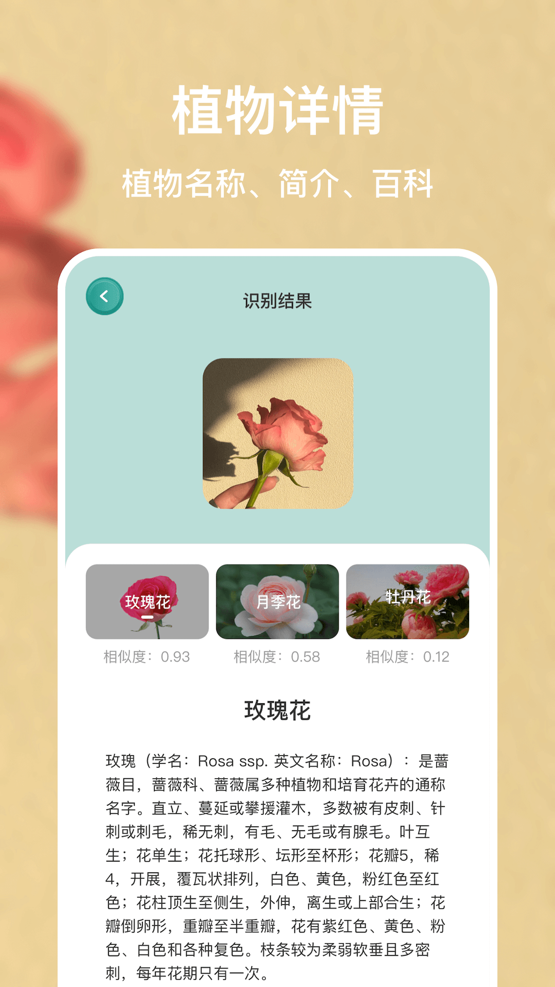 识别植物截图