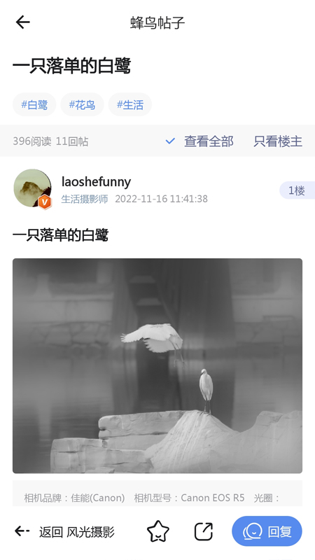 蜂鸟摄影截图