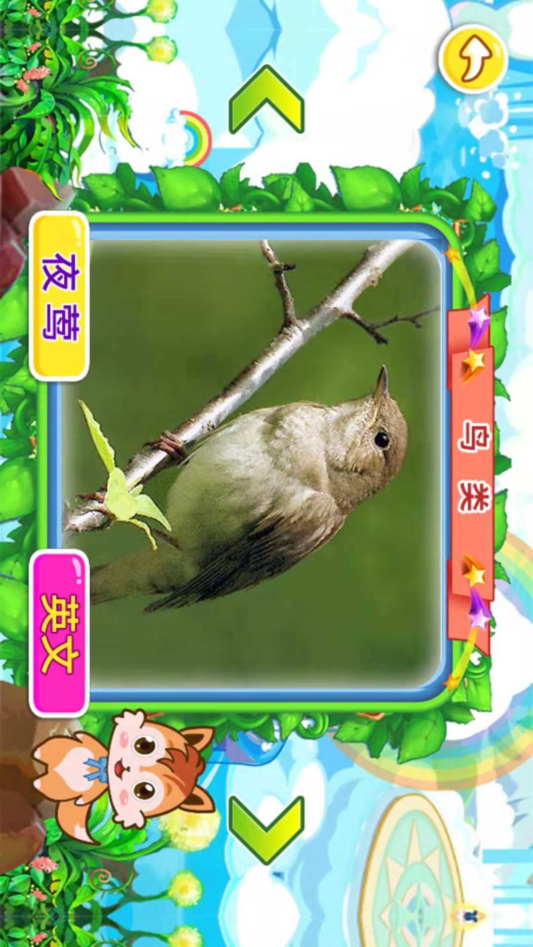 宝宝儿童动物世界截图
