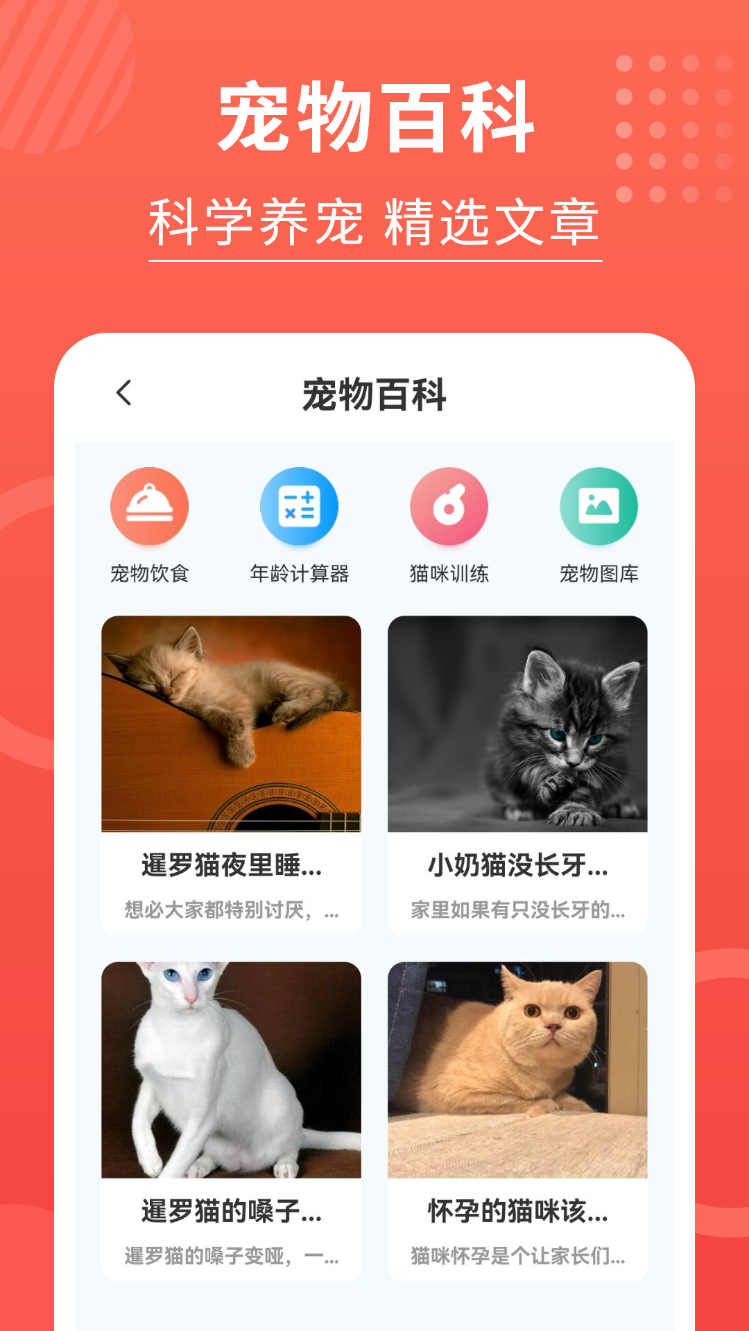 猫猫翻译器