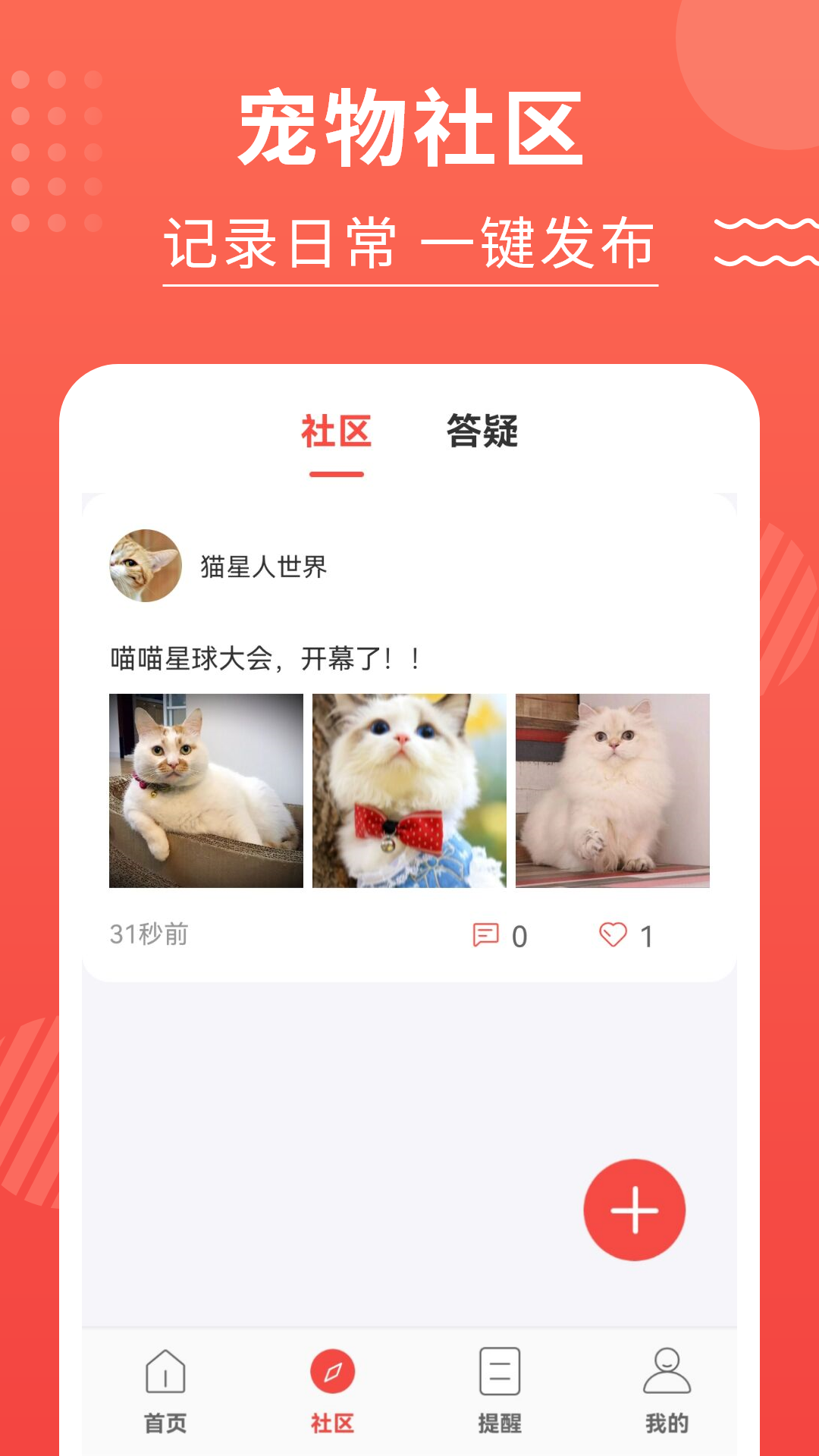 猫猫翻译器