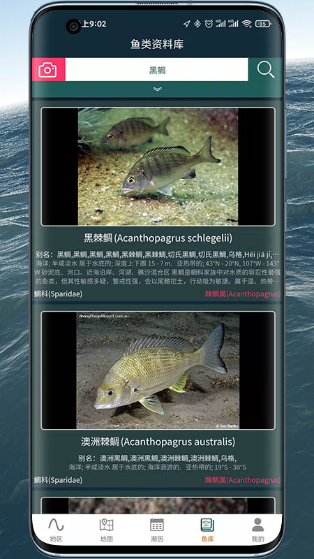 潮汐表精灵截图
