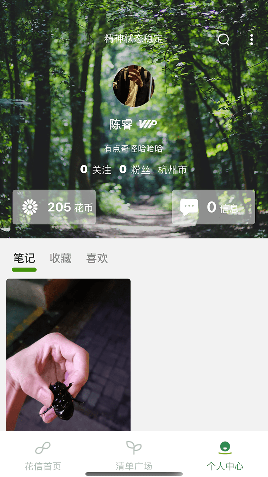 花信