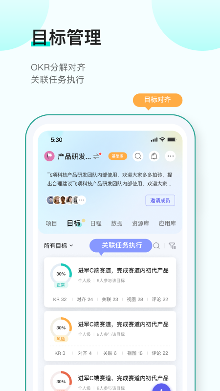 飞项截图