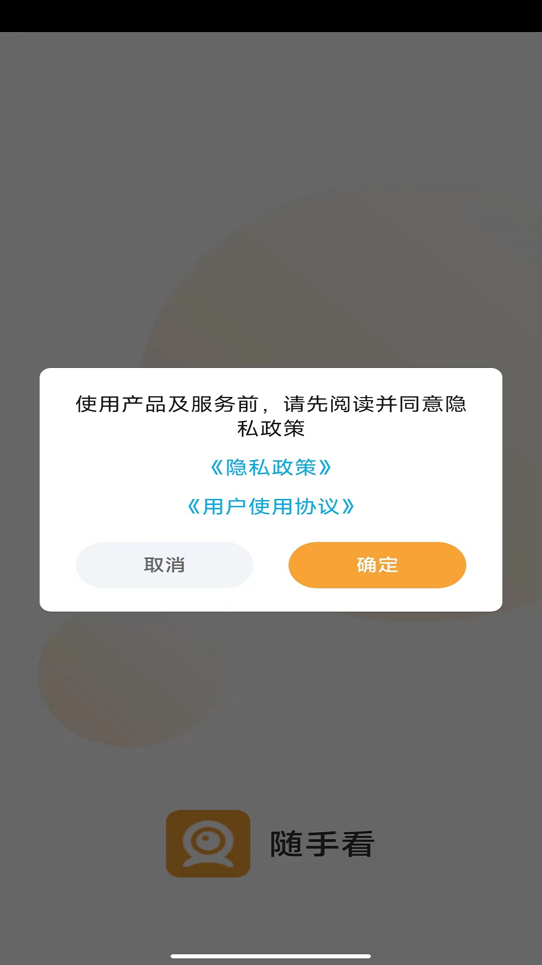 Netcam截图