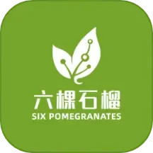 六棵石榴电脑版