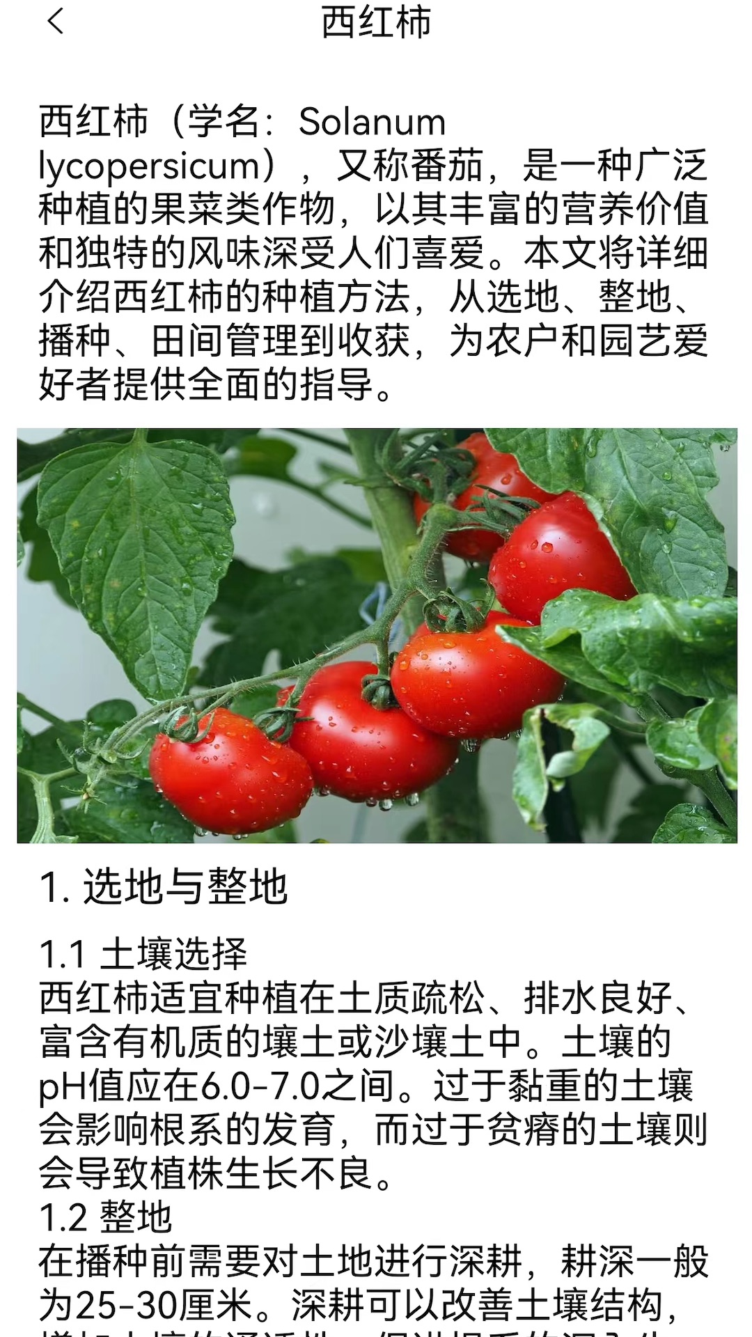 幸福农家院截图