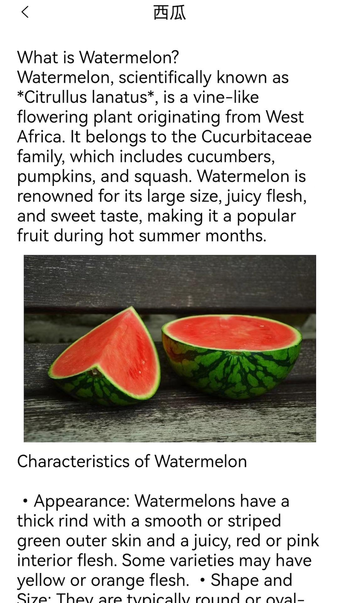 幸福农家院截图