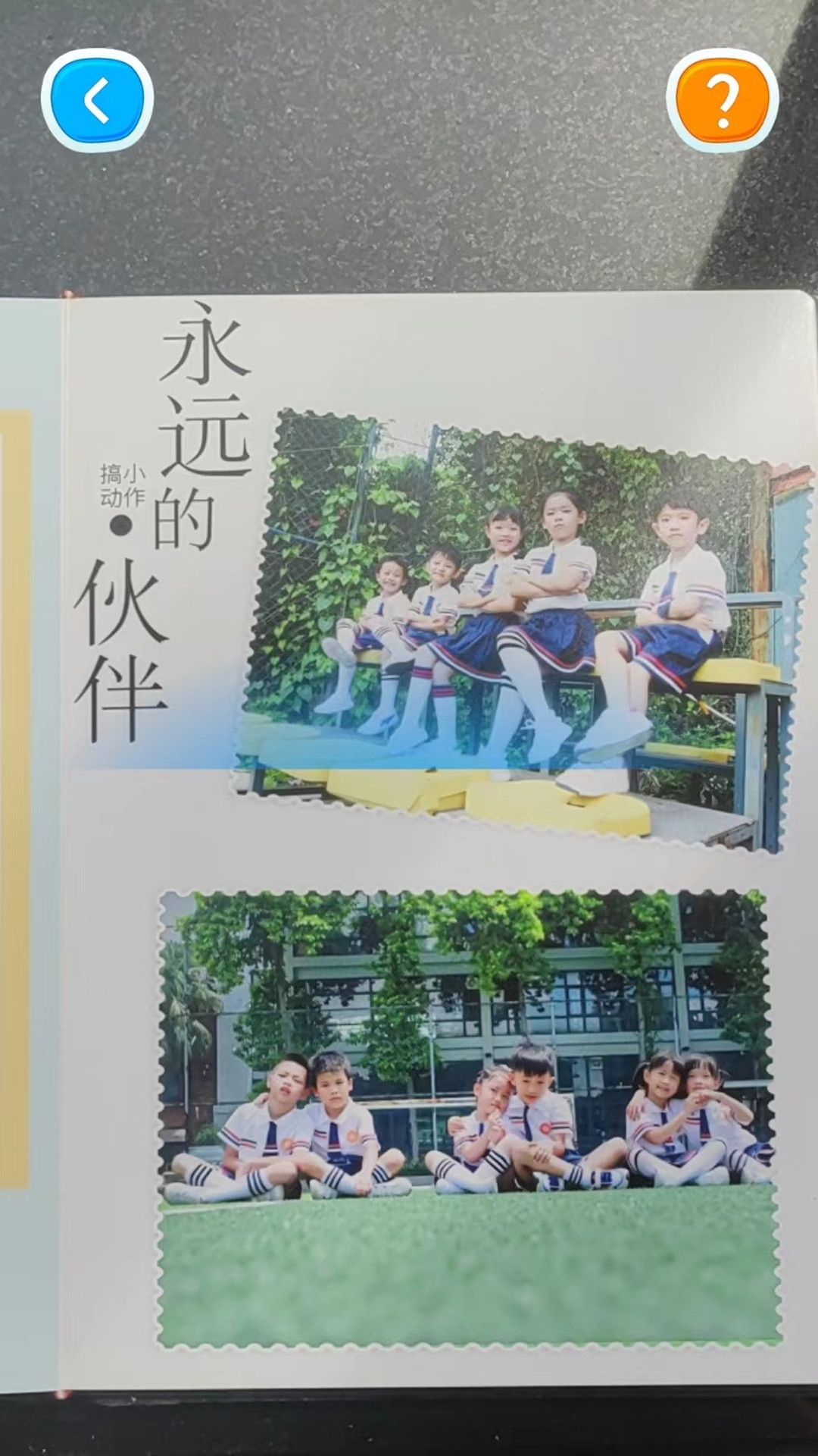 红树林相册截图