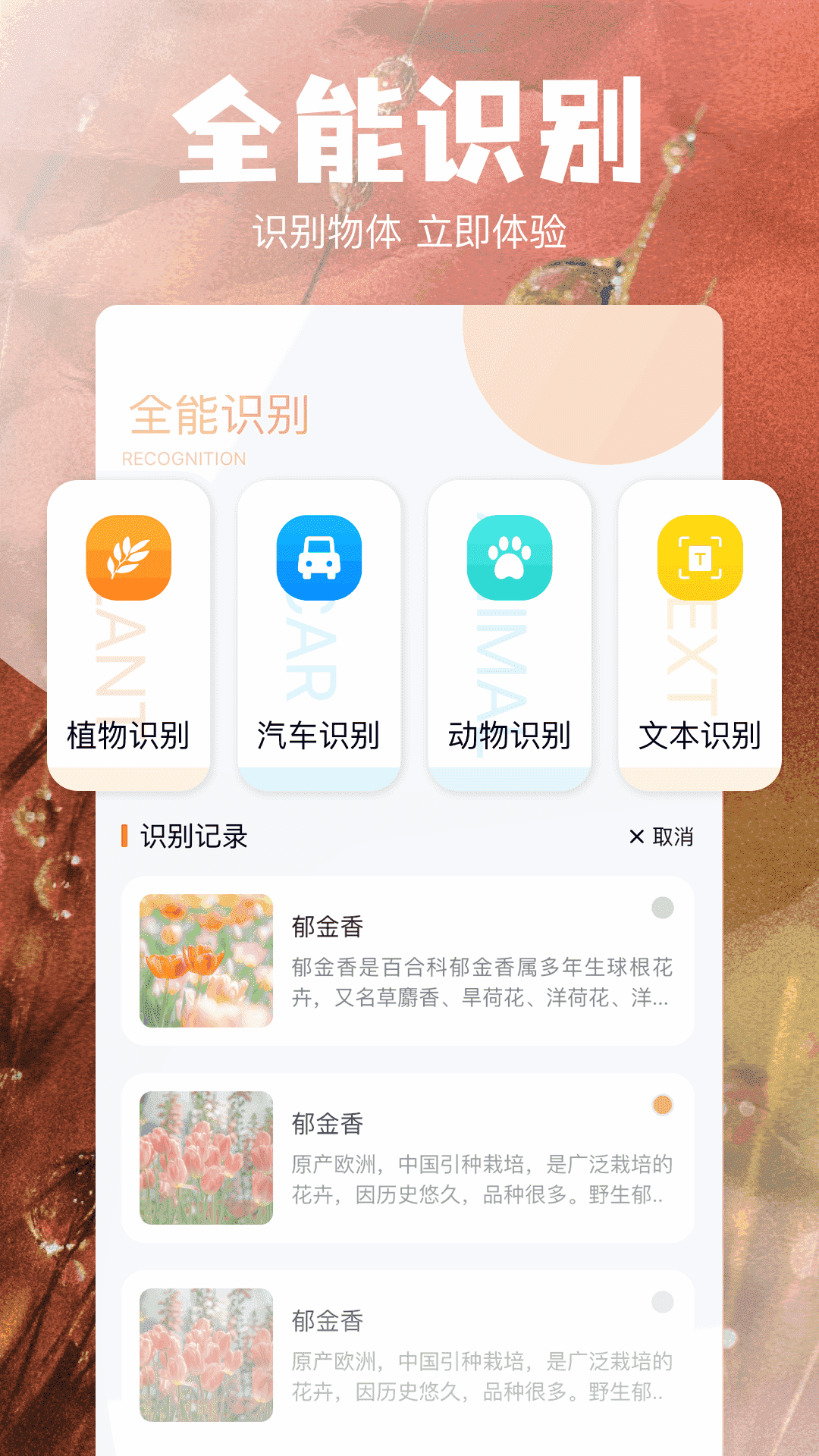 当贝助手截图