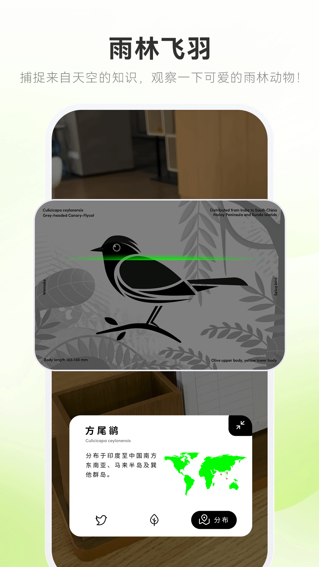wemakeAR 遇见截图
