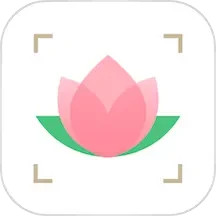 识花